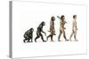Evolution of Man-Karen Humpage-Stretched Canvas