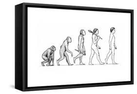 Evolution of Man-Karen Humpage-Framed Stretched Canvas