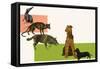 Evolution of the Dog-null-Framed Stretched Canvas