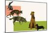 Evolution of the Dog-null-Mounted Giclee Print