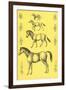 Evolution of the Horse-null-Framed Art Print