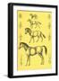 Evolution of the Horse-null-Framed Art Print