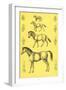 Evolution of the Horse-null-Framed Art Print