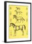 Evolution of the Horse-null-Framed Art Print