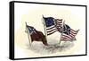 Evolution of the United States Flag-null-Framed Stretched Canvas