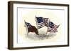 Evolution of the United States Flag-null-Framed Giclee Print