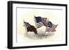 Evolution of the United States Flag-null-Framed Giclee Print