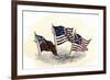 Evolution of the United States Flag-null-Framed Giclee Print