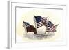 Evolution of the United States Flag-null-Framed Giclee Print