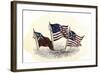 Evolution of the United States Flag-null-Framed Giclee Print