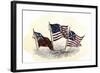 Evolution of the United States Flag-null-Framed Giclee Print