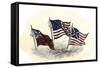 Evolution of the United States Flag-null-Framed Stretched Canvas