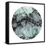 Evolutionary 1 Circle-Marcus Prime-Framed Stretched Canvas