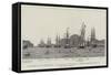 Evolutions of the Mediterranean Fleet-null-Framed Stretched Canvas