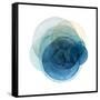 Evolving Planets I-Grace Popp-Framed Stretched Canvas