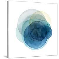 Evolving Planets I-Grace Popp-Stretched Canvas