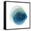 Evolving Planets I-Grace Popp-Framed Stretched Canvas