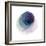 Evolving Planets III-Grace Popp-Framed Art Print