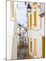 Evora, Alentejo, Portugal-Peter Adams-Mounted Photographic Print