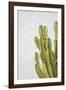 Evora-Alan Copson-Framed Giclee Print