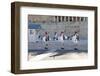 Evzone Soldiers, Changing the Guard, Syntagma Square, Athens, Greece, Europe-Eleanor Scriven-Framed Photographic Print