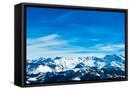 Framed Canvas