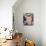 Ewan McGregor-null-Photo displayed on a wall