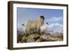 Ewe and Lambs-Richard Ansdell-Framed Giclee Print