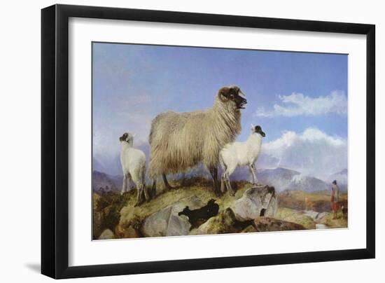 Ewe and Lambs-Richard Ansdell-Framed Giclee Print