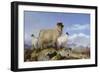 Ewe and Lambs-Richard Ansdell-Framed Giclee Print