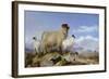 Ewe and Lambs-Richard Ansdell-Framed Giclee Print