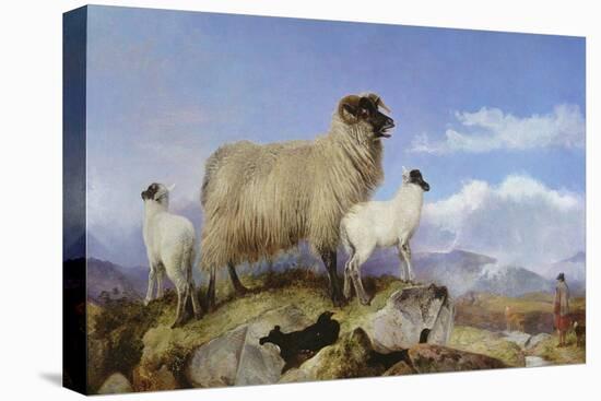 Ewe and Lambs-Richard Ansdell-Stretched Canvas