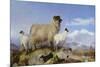 Ewe and Lambs-Richard Ansdell-Mounted Giclee Print