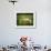 Ewe and Twin Lambs on Sheep Farm, Marlborough, South Island, New Zealand-Julia Thorne-Framed Photographic Print displayed on a wall