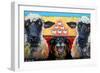 Ewe Dog Ewe-Connie R. Townsend-Framed Premium Giclee Print