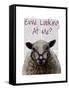 Ewe Looking at Me DeNiro Sheep-Fab Funky-Framed Stretched Canvas