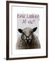 Ewe Looking at Me DeNiro Sheep-Fab Funky-Framed Art Print