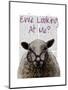 Ewe Looking at Me DeNiro Sheep-Fab Funky-Mounted Art Print