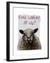 Ewe Looking at Me DeNiro Sheep-Fab Funky-Framed Art Print