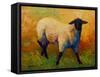 Ewe Portrait IV-Marion Rose-Framed Stretched Canvas