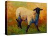 Ewe Portrait IV-Marion Rose-Stretched Canvas