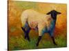 Ewe Portrait IV-Marion Rose-Stretched Canvas