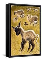 Ewes and Lambs, 1953-Isabel Alexander-Framed Stretched Canvas