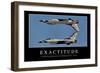 Exactitude: Citation Et Affiche D'Inspiration Et Motivation-null-Framed Photographic Print