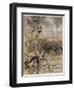 Exactly Where the Rainbow Ends, 1914-Arthur Rackham-Framed Giclee Print