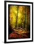 Exalted Father-Cristina Carra Caso-Framed Photographic Print