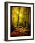 Exalted Father-Cristina Carra Caso-Framed Photographic Print