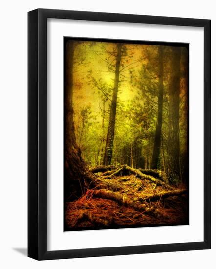 Exalted Father-Cristina Carra Caso-Framed Photographic Print