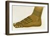 Example of Dayak Foot Tattoo Designs, Borneo, 1894-null-Framed Giclee Print