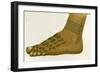 Example of Dayak Foot Tattoo Designs, Borneo, 1894-null-Framed Giclee Print